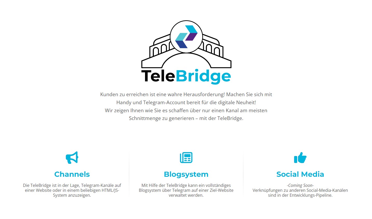 TeleBridge - digitale Brücken | by Connecting Media GmbH